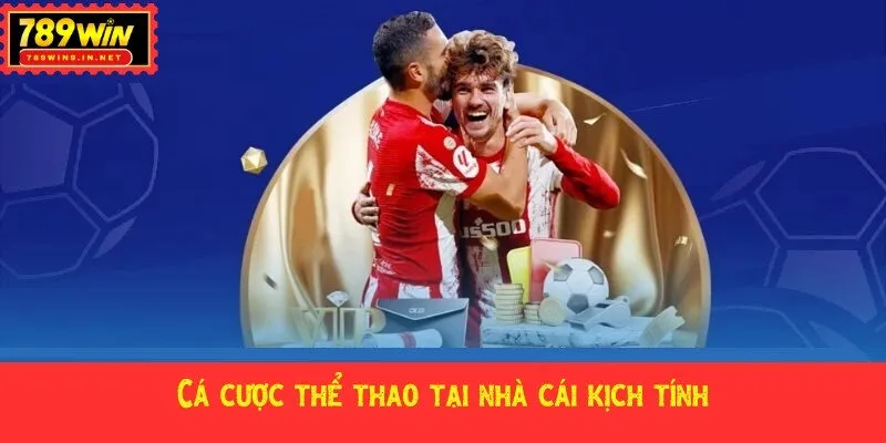 Cá cược thể thao tại nhà cái kịch tính