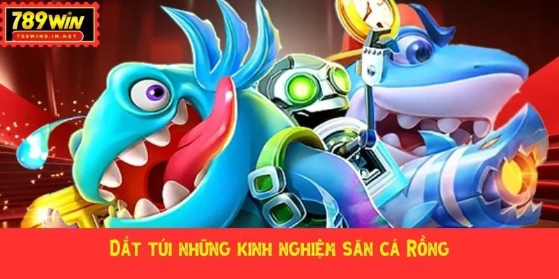 Dắt túi những kinh nghiệm săn cá Rồng