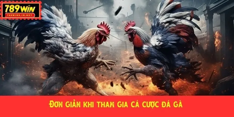 Đơn giản khi tham gia cá cược đá gà 