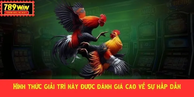 Hình thức giải trí này được đánh giá cao về sự hấp dẫn