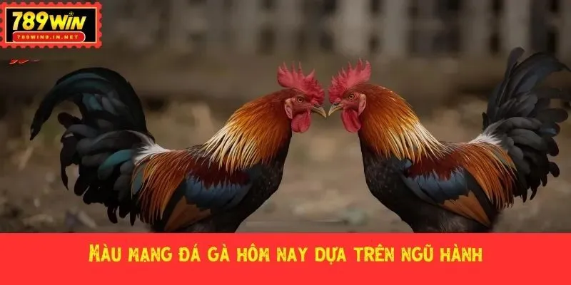 Màu mạng đá gà hôm nay dựa trên ngũ hành