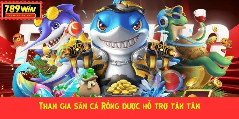 Tham gia săn cá Rồng được hỗ trợ tận tâm