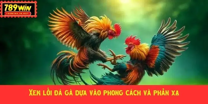 Xe lối đá gà dựa vào phong cách và phản xạ